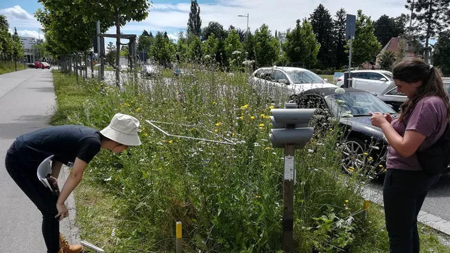 Der Luise-Kiesselbach-Platz wird vermessen 