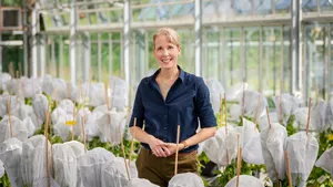 Prof. Brigitte Poppenberger from the Chair of Biotechnology of Horticultural Crops at the Technical University of Munich in Weihenstephan 