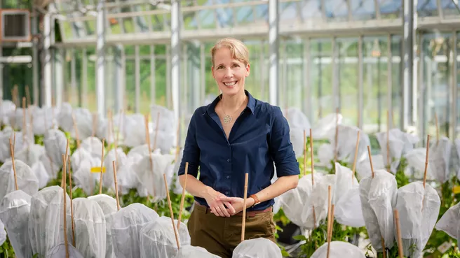 Prof. Brigitte Poppenberger vom Lehrstuhl für Biotechnologie gartenbaulicher Kulturen der Technischen Universität München in Weihenstephan  