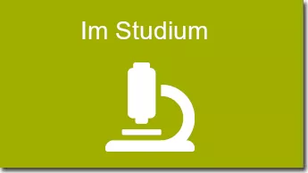 Im Studium