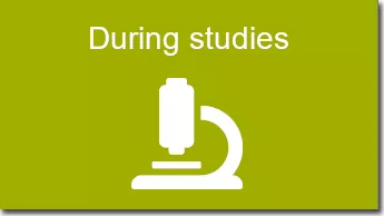 During studies