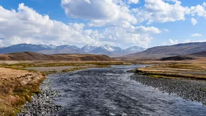 mage from Pakistan's Deosai National Park from a study by the Technical University of Munich 