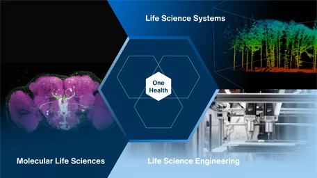 Forschungsdepartments der TUM School of Life Sciences