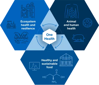 TUM School of Life Sciences - working for One Health One Health Goals
