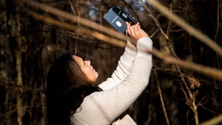 Prof. Menzel taking a picture of a tree for BAYSICS