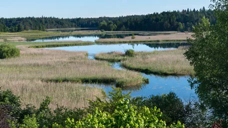 Iffeldorf: Blick auf die Osterseen