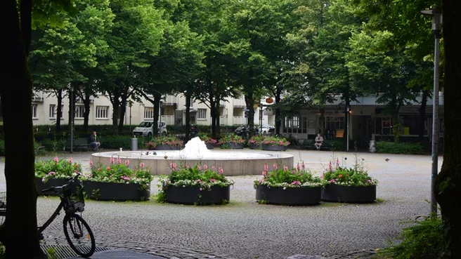 Grüne Bepflanzung und Bäume an einem Platz in einer Stadt
