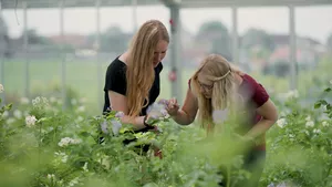 TUM students in greenhouse