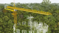 Ökosystemexperiment "AmazonFACE"