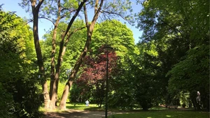 Park "Finanzgarten" in Munich 