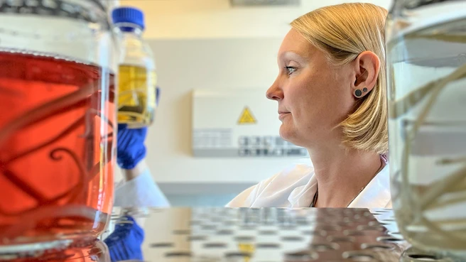 Prof. Dr. Friederike Ebner im Labor