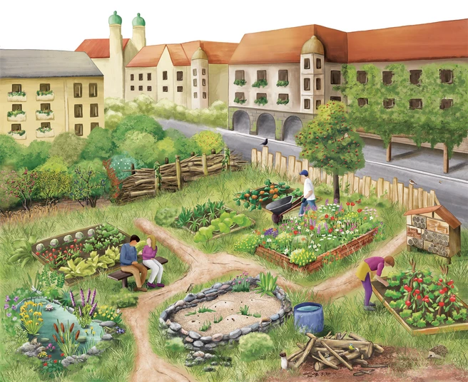 Titelbild "Gärtnern für mehr Biodiversität in der Stadt"