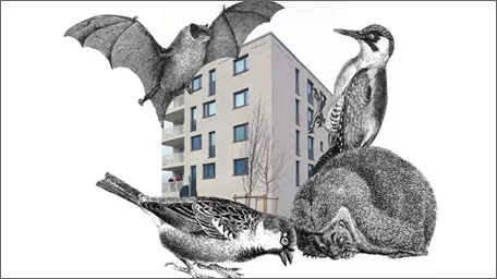 Einladung zur Abschlusskonferenz des Forschungsprojektes „Animal-Aided Design im Wohnungsbau“.