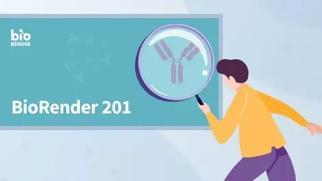 Webinar Biorender 201