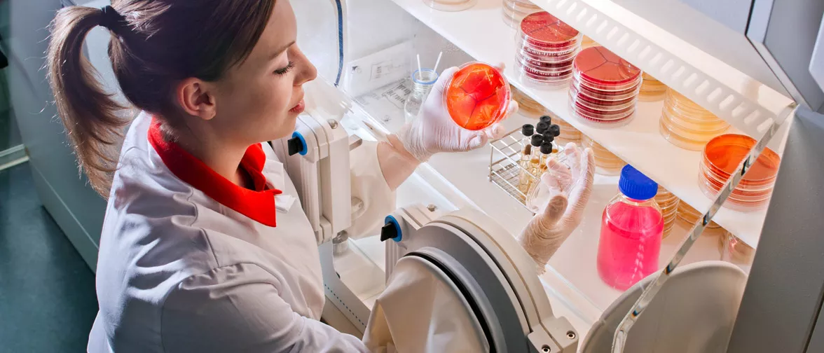 Master student of Nutrition and Biomedicine at a laboratory experiment