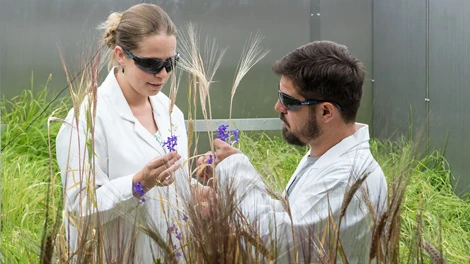 TUMmesa Symposium Freising