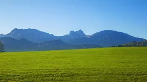 Klimaerwärmung führt zu Humusrückgang