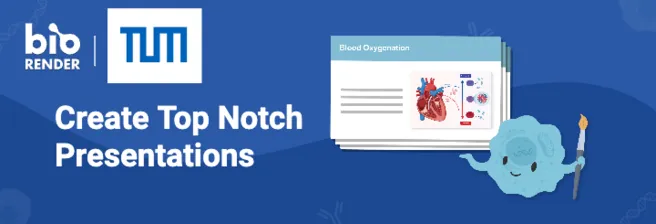 esigning presentations with biorender