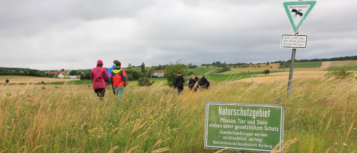 Studierende des Master Naturschutz und Landschaftsplanung auf Exkursion. Studierende bei einer Exkursion im Naturschutzgebiet