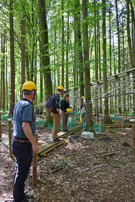 Forest excursion with Dr. Häberle
