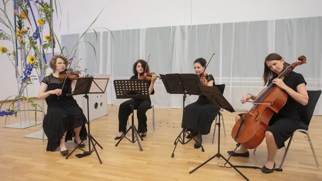Streichquartett Lumina spielt bei der Abschlussfeier