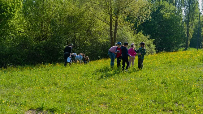Auf den Spuren der Insekten