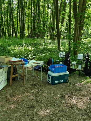 Messgeräte im Auwald
