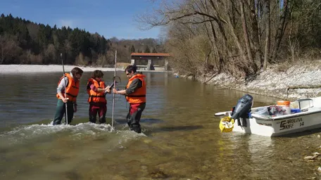 Scientific study on river habitats at the TUM