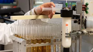 Forschung zur Sicherung einer nachhaltigen Proteinversorgung