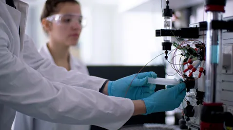 Doctorate at the TUM School of Life Sciences