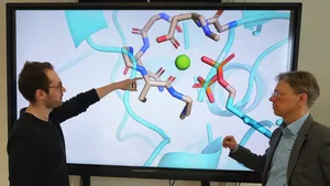 Artificial photosynthesis for environmentally friendly food production