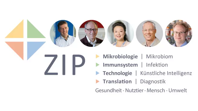 Graphik der Themen und Wissenschaftlern von ZIP