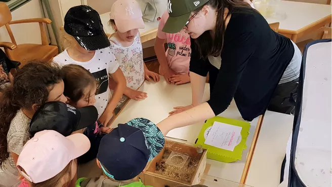 Schüler auf Tuchfühlung mit Hummeln