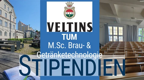 VELTINS-Master-Stipendium VELTINS-Master-Stipendium
