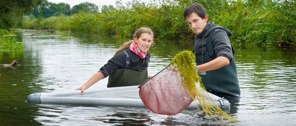 Studierende im Praktikum bei einem Versuch mit Moos im Wasser