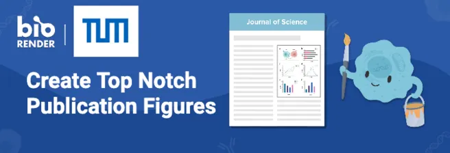 Creating Publication Figures with Biorender