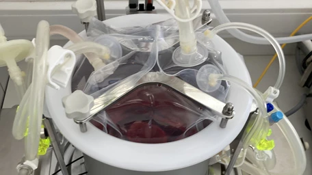 3D printing for single-use in biopharma production.
