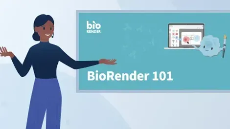 Webinar BioRender 101 
