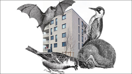 Einladung zur Abschlusskonferenz des Forschungsprojektes „Animal-Aided Design im Wohnungsbau“.