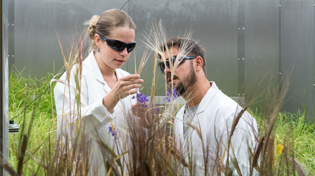 Master Agrarsystemwissenschaften Der Studiengang Agrarsystemwissenschaften deckt nachhaltige und zukunftsrelevante Bereiche ab.