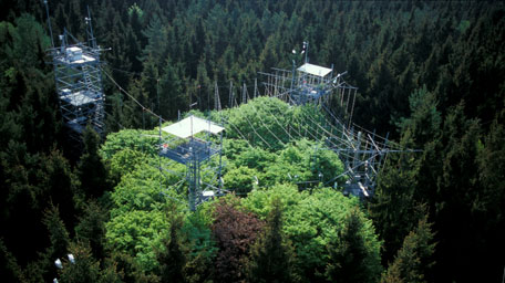 Zum Plant Technology Center gehört auch die Forschungsstation im Kranzberger Forst