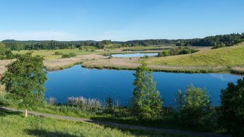 Blick auf die Osterseen