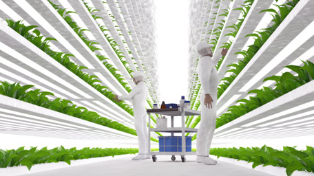 Plant food production in vertically stacked layers. Vertical farm and its employees taking care of plant growth