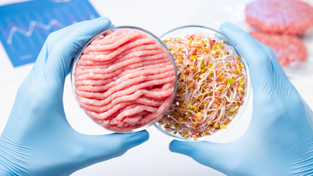 Meat in one Petri dish and plant sprouts on background
