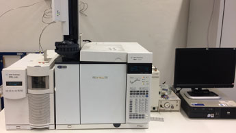 Pyrolysis-MS