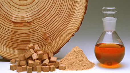 Wood Science