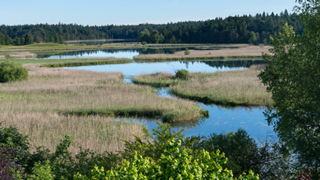 Iffeldorf: Blick auf die Osterseen