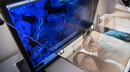 PROTEIN SCIENCE & PROTEOMICS Johannes Buchner, Professorship of Biotechnology, and a PhD student look at the crystal structure of an antibody domain on a computer monitor.