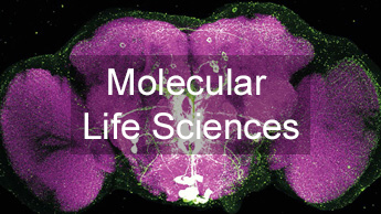 Professuren des Departments Molecular Life Sciences