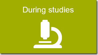During studies